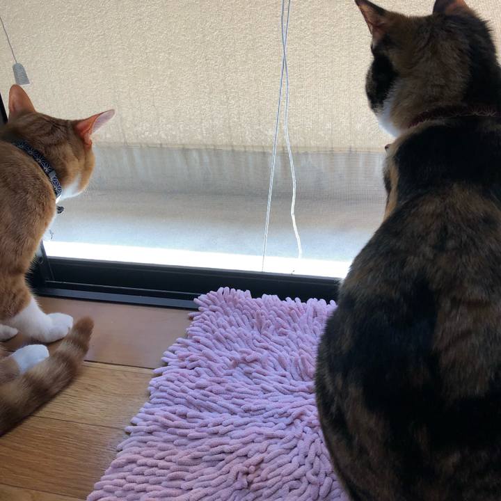 B3a62a2f 3e86 4d2e 9865 4b763b0d5eef 1555560214535