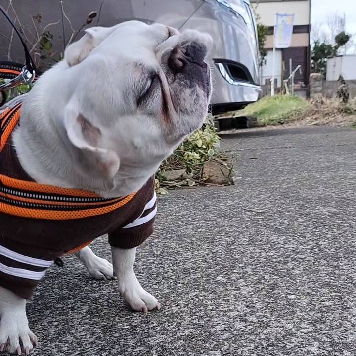 B3a642f9 c8a7 4abf ad4c 88b5b28fcec7 1674879518070