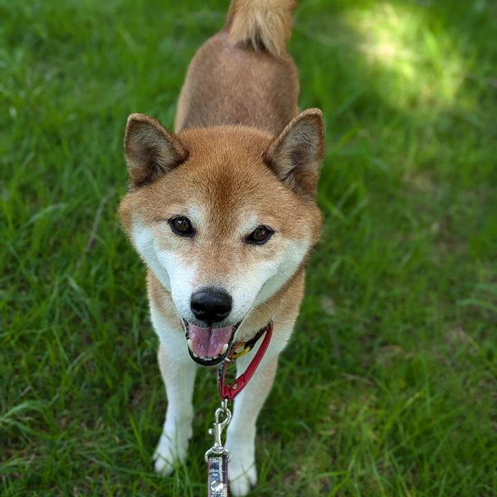 B3a67a5c 09d7 4ed5 ad73 6e300d4b0ba6 1721832138504