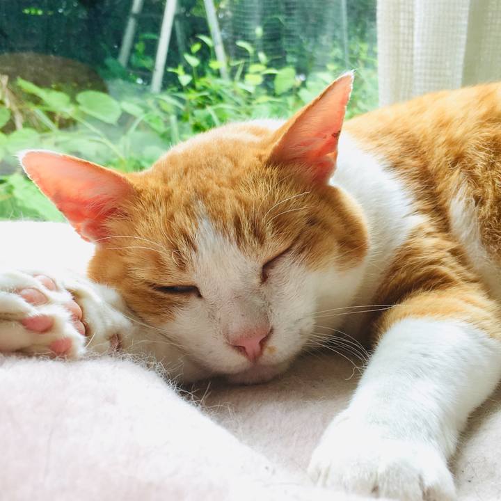 B3a6864b c26b 442d b3c7 649968fd3aab 1563177554351