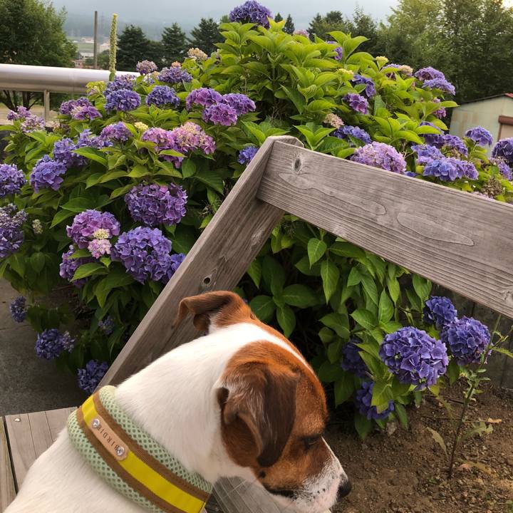 B3a68c28 c2bf 4bc6 b6b6 430a1ecf96c1 1531741216897