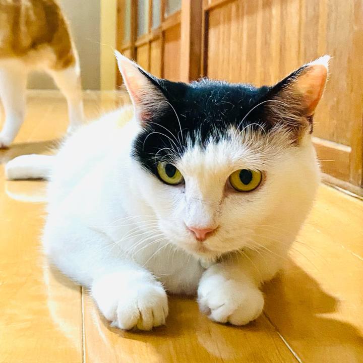 B3a6a807 54cb 40e2 9e1f ee16979ecc75 1691243250330