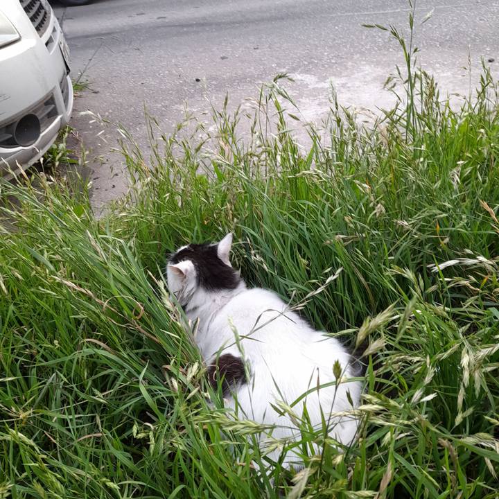 B3a70e9d edc9 4dd9 8f37 d88e4cb6ac56 1763258786814