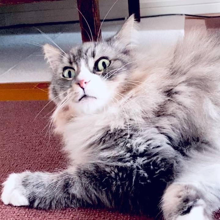 B3a721ec eb14 493e b61c 77127538da64 1764812685011