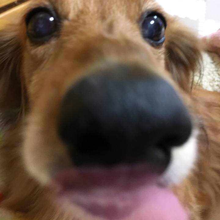 B3a72b22 0708 4067 9f48 282f006bf97a 1551968515948