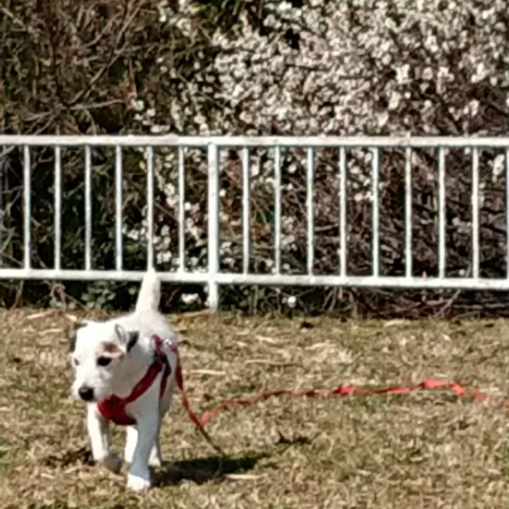 B3a74ba1 bb5a 4d3f b935 91903b6a0845 1551744270081