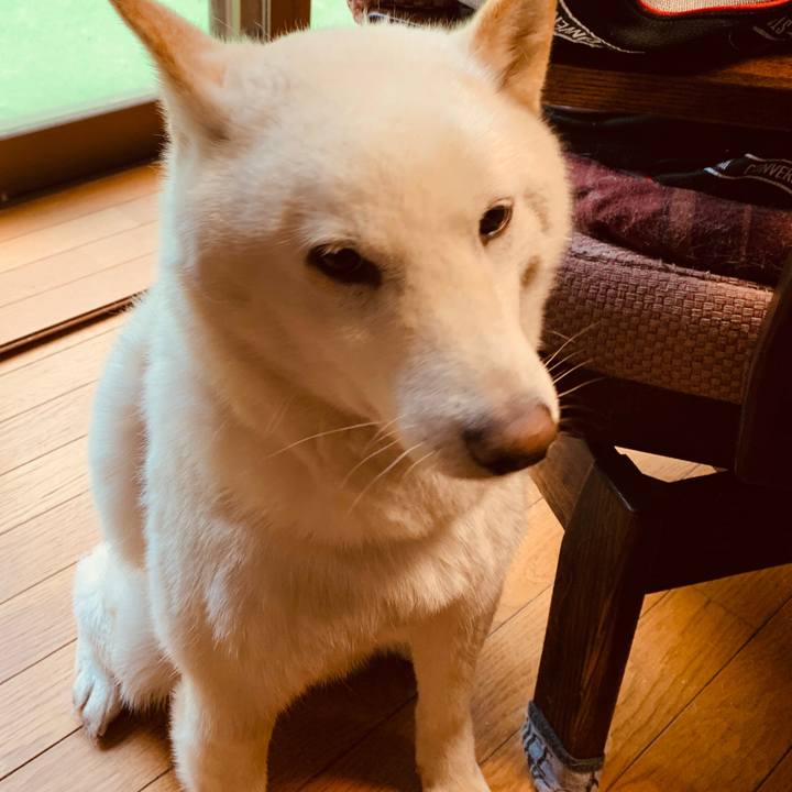 B3a76789 58d1 46cd a833 28c00ec25fb0 1587518627404