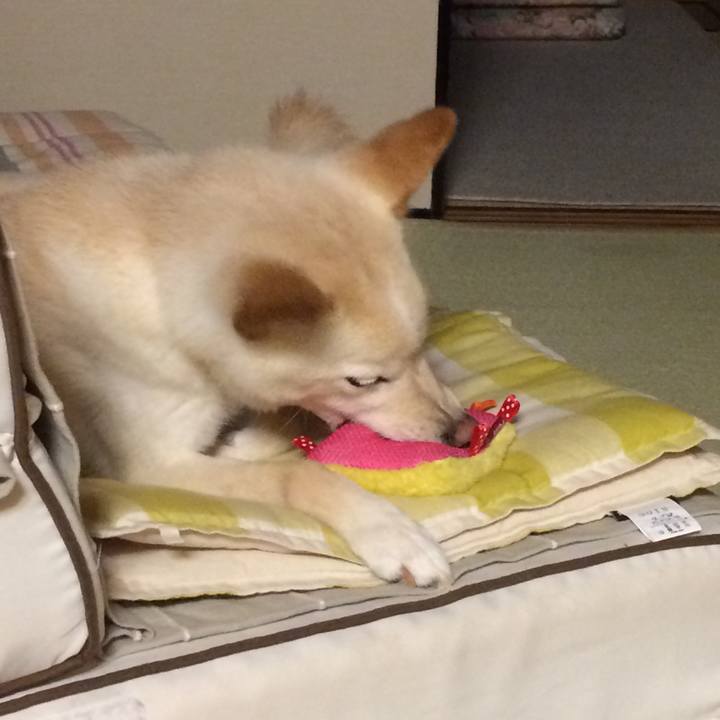 B3a8242f 5106 4bfb 9d76 c4e1b90ebde6 1530964842887