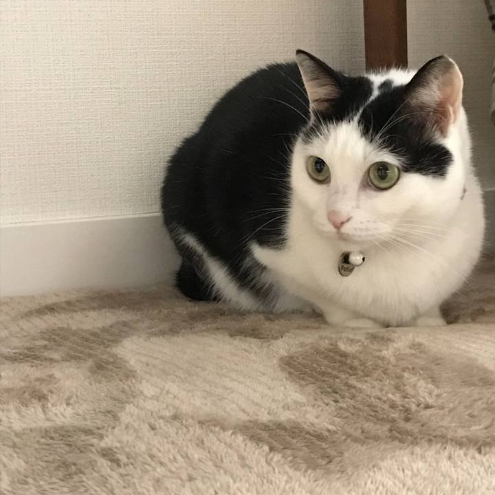 B3a842c1 0c93 484c ae54 cb68233728d9 1511700128467