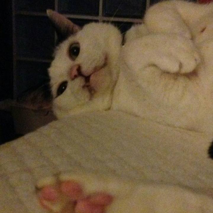 B3a84dc9 a079 427c af2f b65b7339cd5b 1539004043632