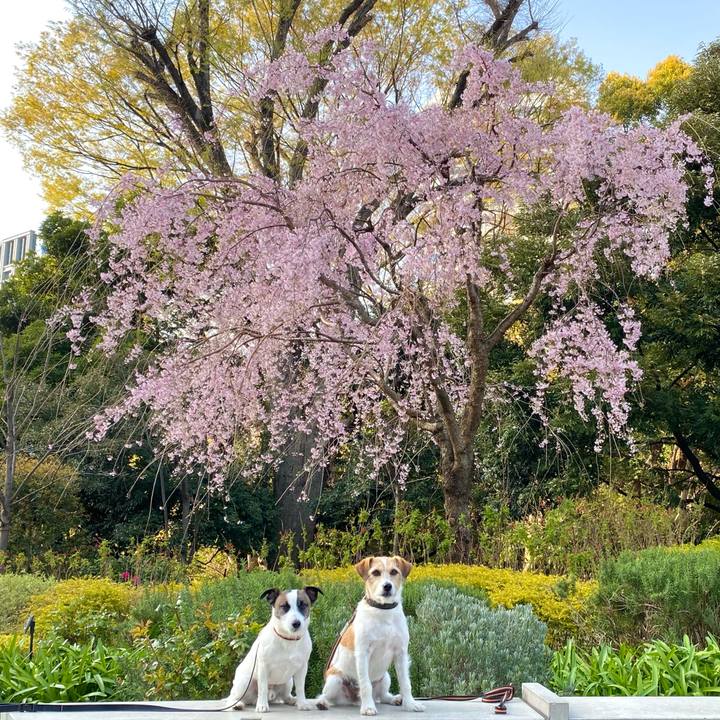 B3a871c5 7cba 426d b97e bf227a7a7b2e 1616519409454