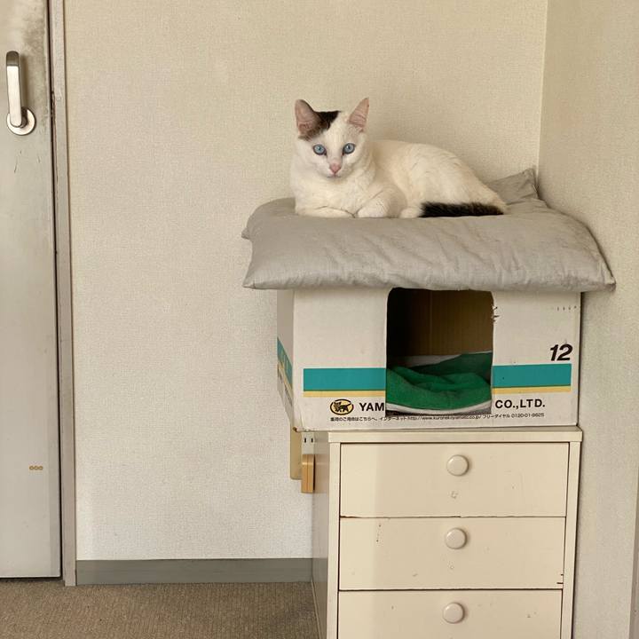 B3a872fa 398a 4abd b3bc a61308ee0090 1672183644507