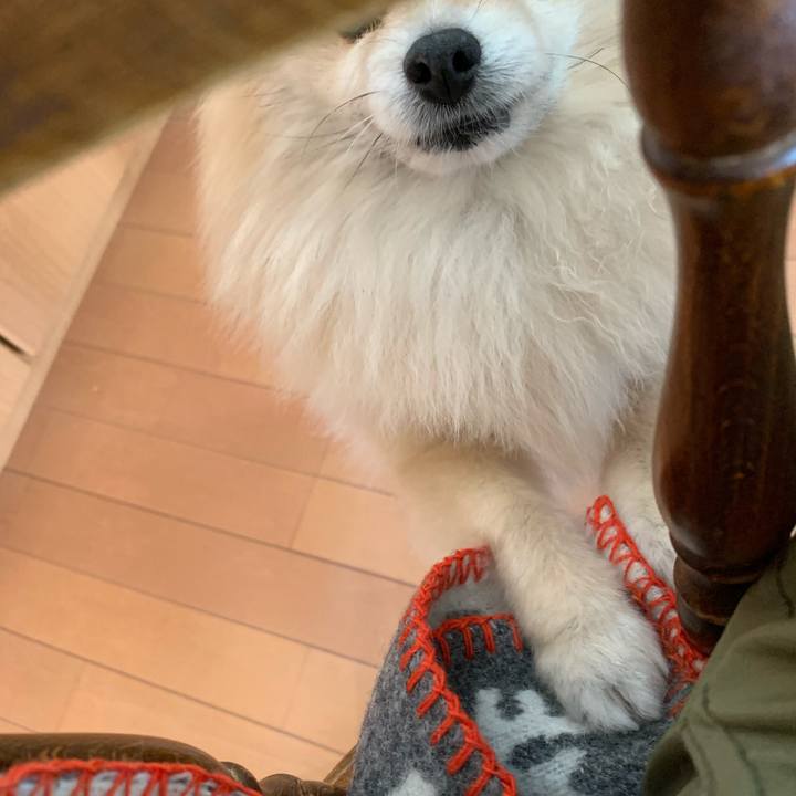 B3a87ecc a292 4cdc 8a33 6244dcfe2a3c 1579754233594