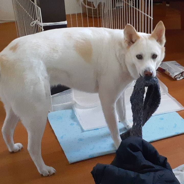 B3a8bc7e 9122 4884 b14d 2835a3c96847 1676701299475