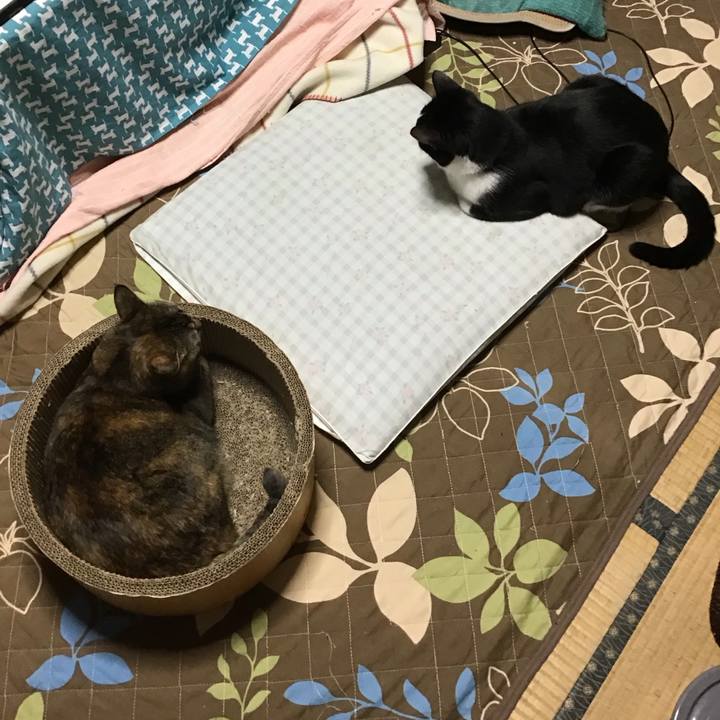 B3a8e453 438c 4a41 b507 35902e1719d8 1761823196181