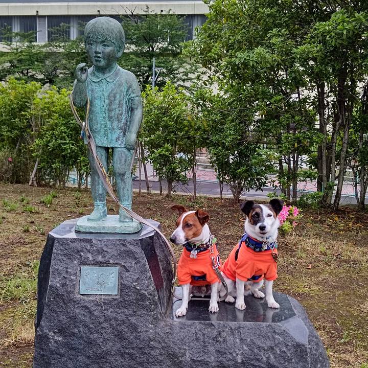 B3a8ebb9 f074 4631 90a0 b8d8eff7c09c 1653132053805