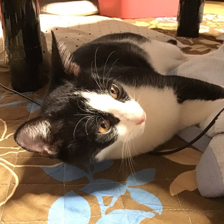 B3a90ae9 d57b 4811 9798 45f595c941a4 1633071415383