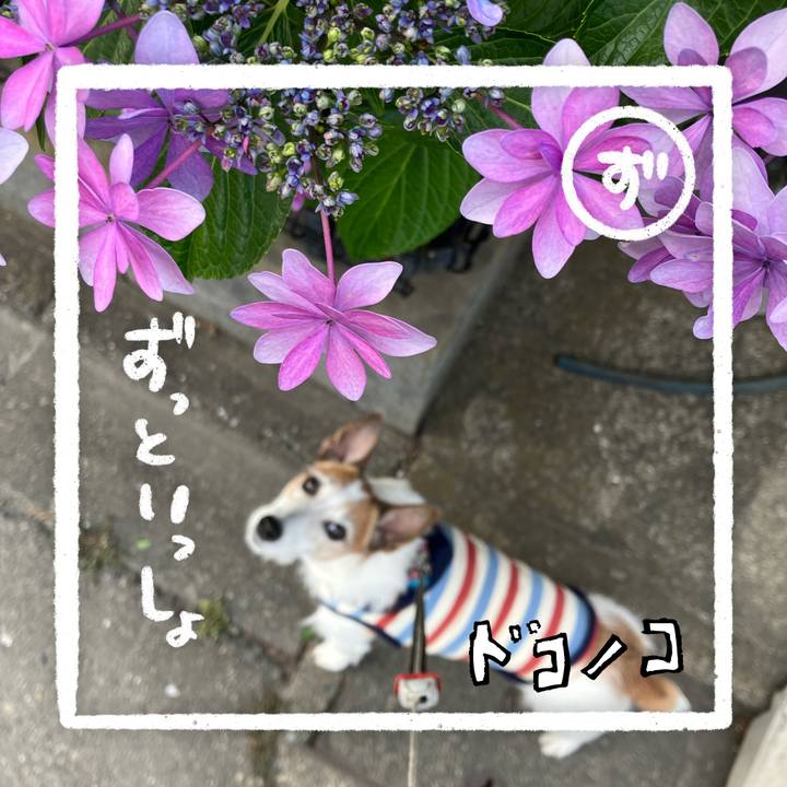 B3a919c0 11bd 4681 8c56 413472616958 1686006590190