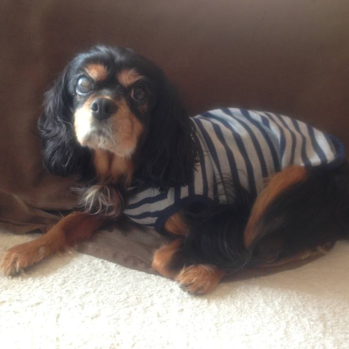 B3a91b0e 70bd 4496 b6d6 b35953144576 1524233108540