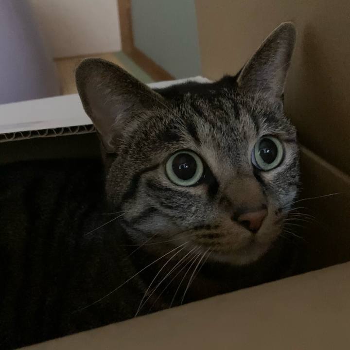 B3a92143 633d 4cdc 9171 63332227629a 1619141208681