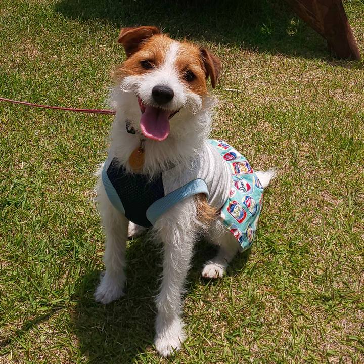 B3a92f5f a14f 44e3 aaac 6448e8318d1a 1591341108650