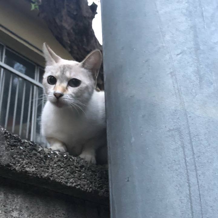 B3a95185 61fc 4178 b89e b4aebfd08ebb 1570466227540