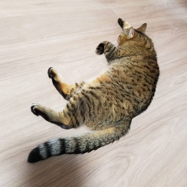 B3a96150 3940 4a3d be0f 3e81ea001df2 1581457287938