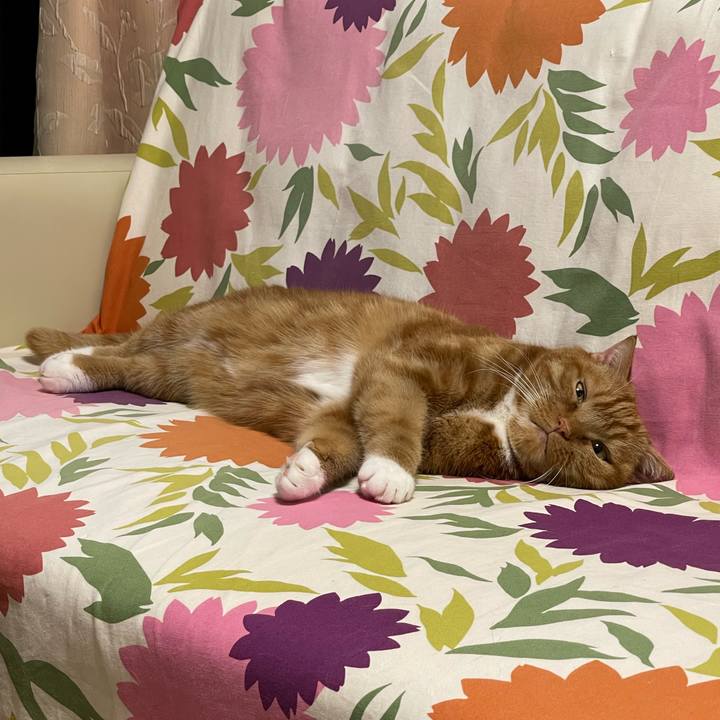 B3a9cd33 0d33 4a6d 98f3 cc052f847e92 1690035112422