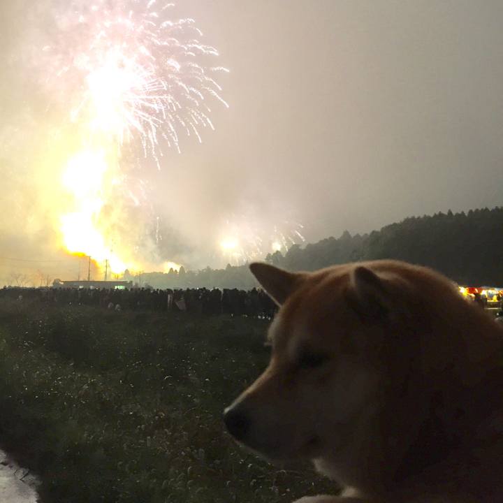 B3a9e307 66eb 422c 8f36 493bb5d171e3 1508044562745