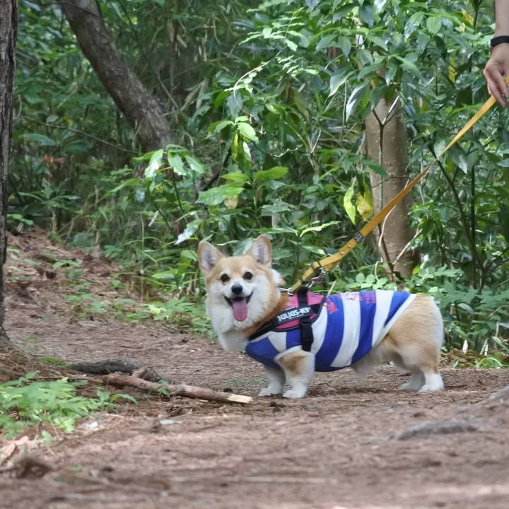 B3a9f10f 5e20 4862 9bf9 45c41c052efb 1716727329231