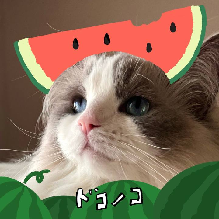 B3a9fff3 befa 438a 96dc f9417be0baf6 1721029397002