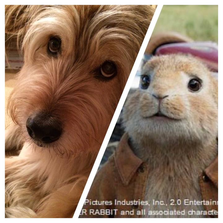 B3aa2b41 bb27 4f71 850f b81da7b9b79b 1624612468321