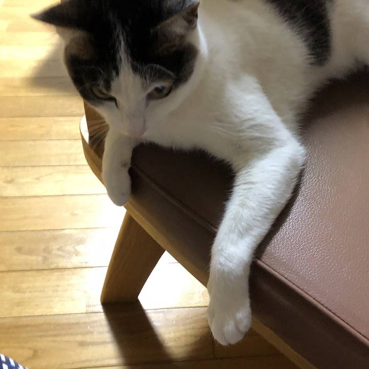 B3aa374c 52ae 441a b15a f35ee0dd684e 1686318706934