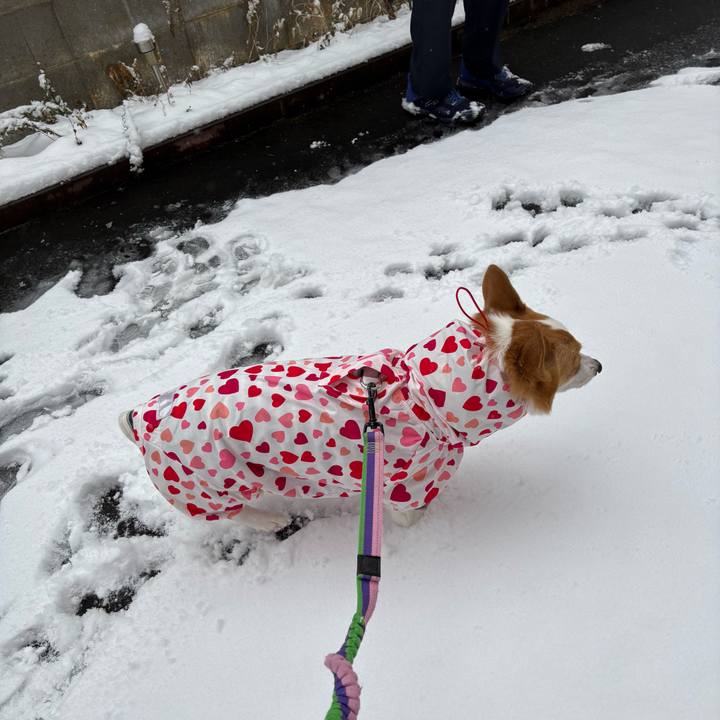 B3aa47e9 d995 49a6 a154 c5c31b7a9668 1770518734015