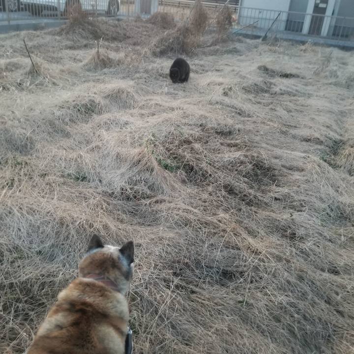 B3aa510f 7776 433b 80ab 06325e986c65 1677145085441