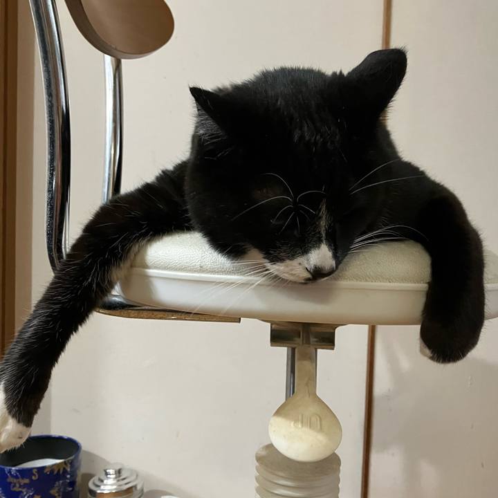 B3aa6499 b02c 4db4 9caf 209069c9e15a 1685417640483