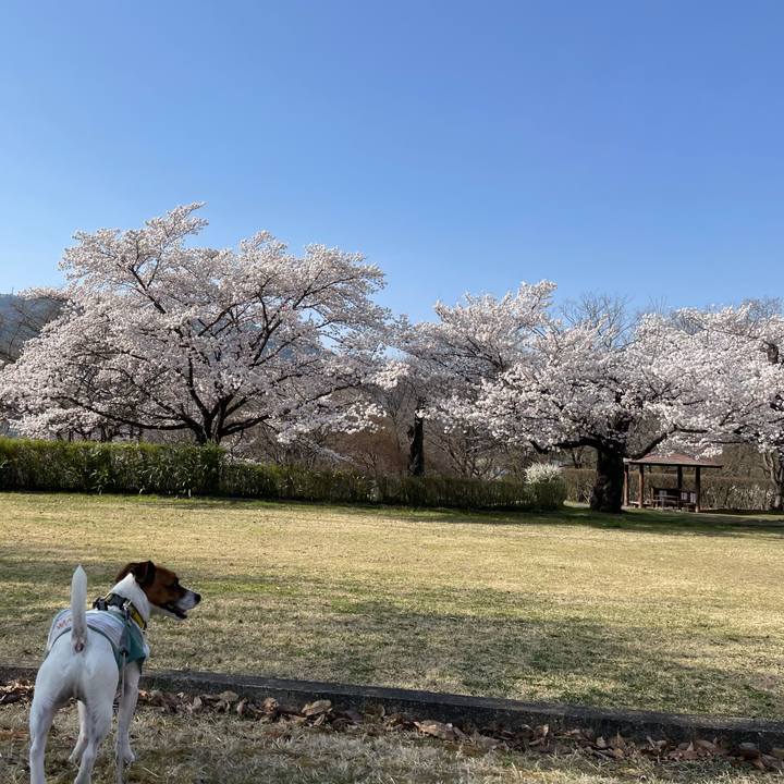 B3aa7565 9ce0 4931 b61b b1ec7d94d87d 1649761155084