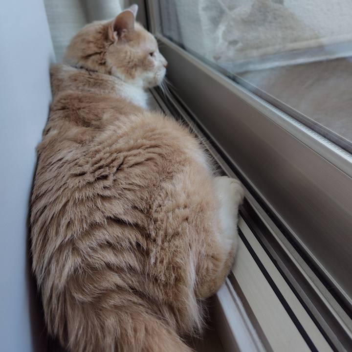 B3aa9d84 6900 4d13 901b 6d085a84f4d9 1721599555996