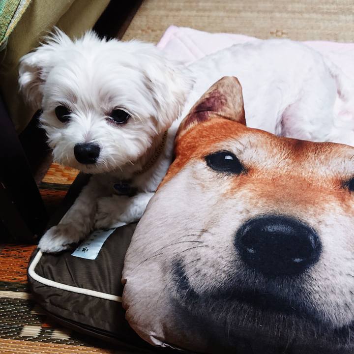 B3aab1ea 116e 4fa4 9751 218ba5a384a5 1534337035916