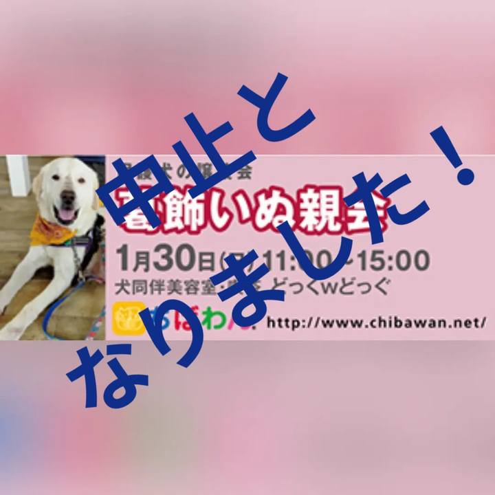 B3aac064 1392 4b52 b79e fca8bd9112e3 1642752883575