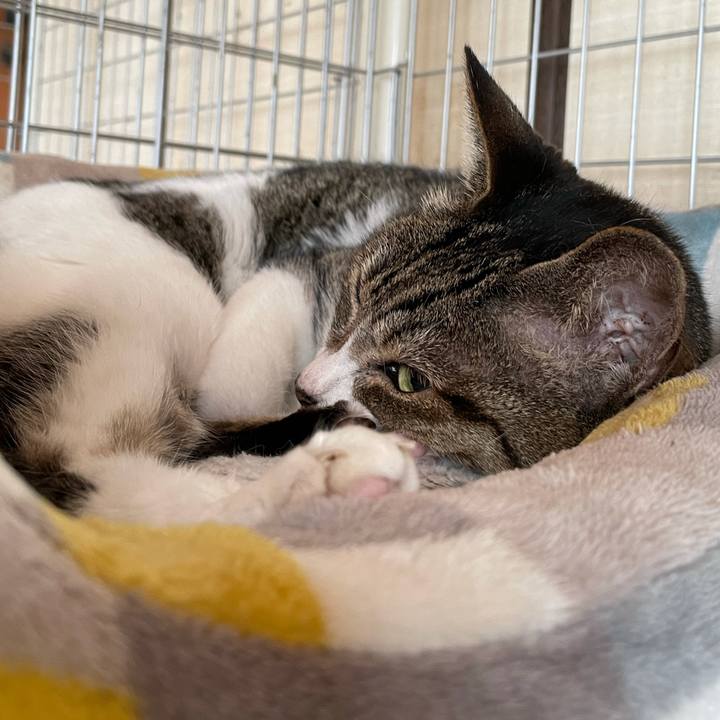 B3aaca5e 700b 4989 ba1e 59f02a3f8049 1632188596700