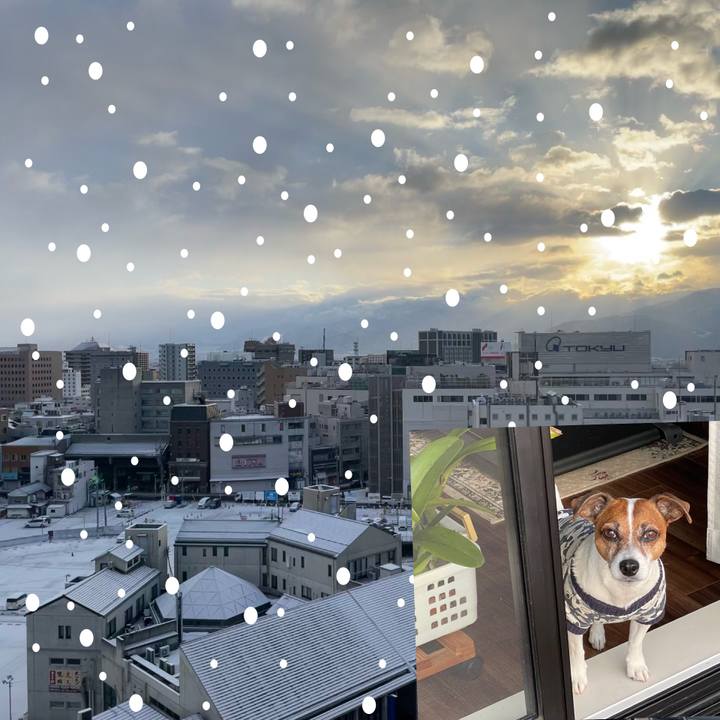 B3ab05eb 48a1 40bb a7e5 6356c356c716 1739832592041