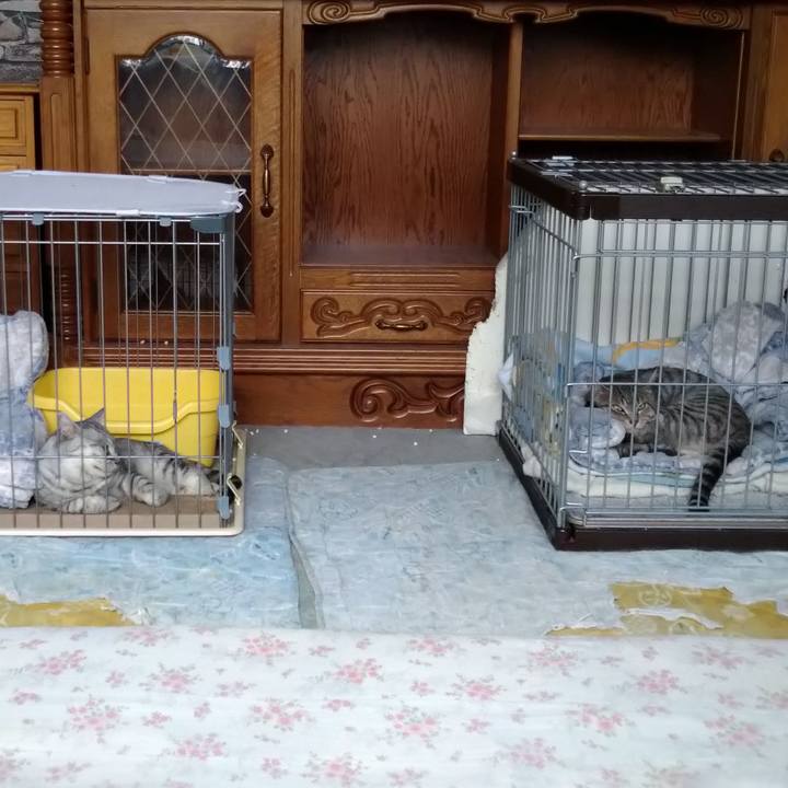 B3ab4ede d479 488e b7d6 99043375842f 1602546863306