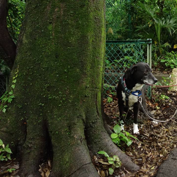 B3ab6401 4eea 489b 8442 6d44016a5631 1748131885381