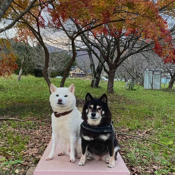 B3ab7bed a70c 4dba a2eb 3a9db9c3b849 1733070413671