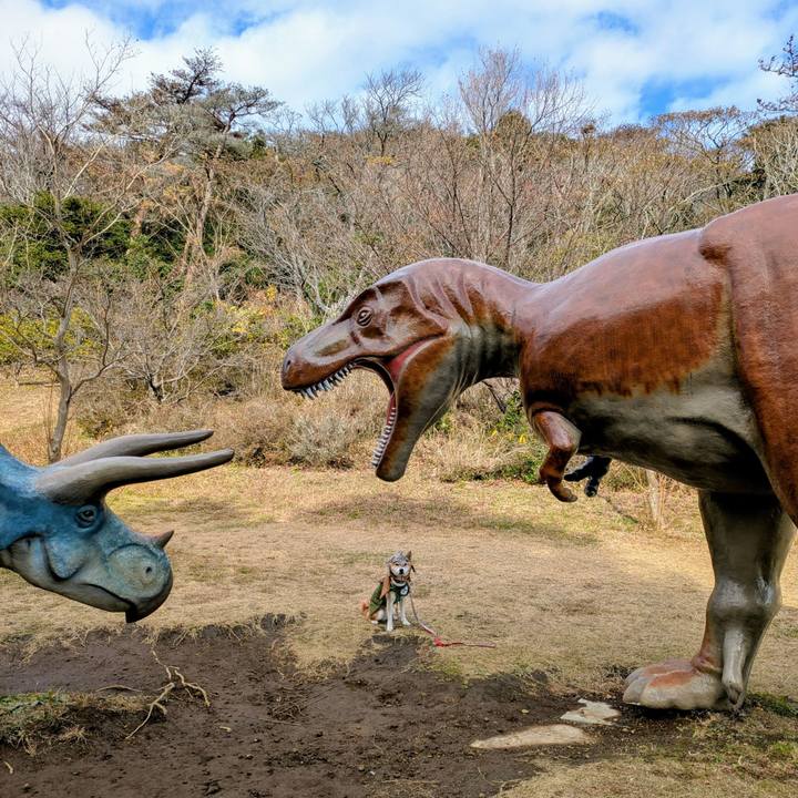 B3abb1f1 9ab4 47ed 9614 5dd7d5a06f7d 1766119727065