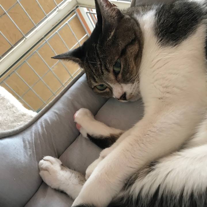 B3abc893 f015 4e70 8143 a22b14d2ddf0 1535154923757