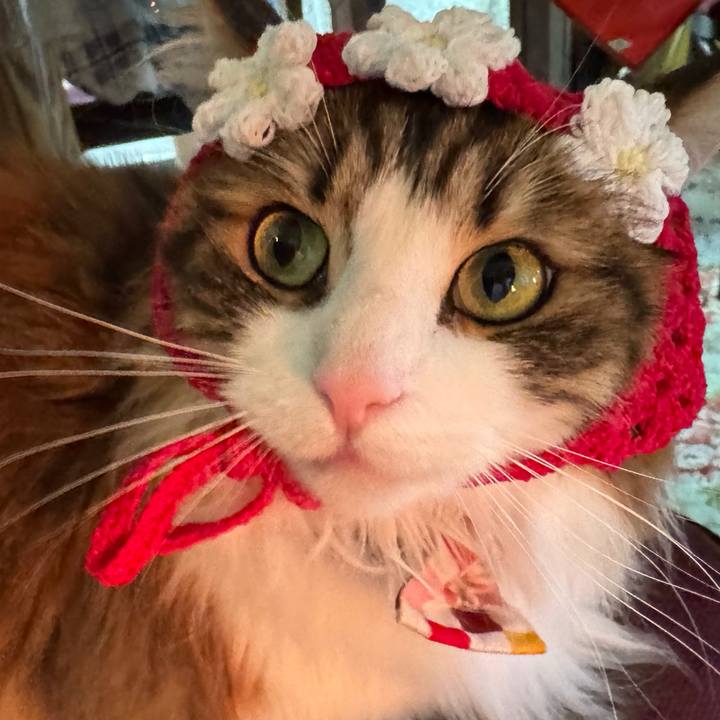 B3abd0e7 7a36 4f3f a728 87414034d611 1774570800134