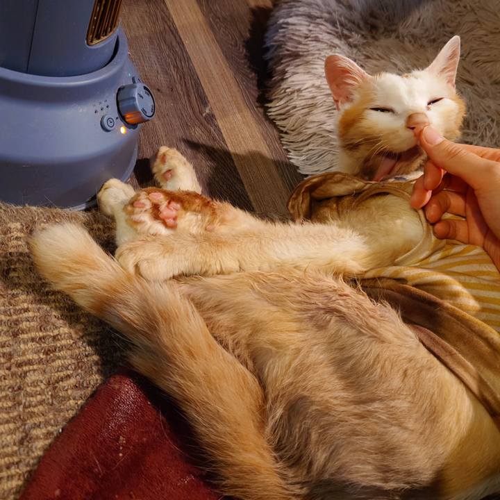 B3ac023d 5759 4967 ab37 55c0fd4a0dc0 1762510541270