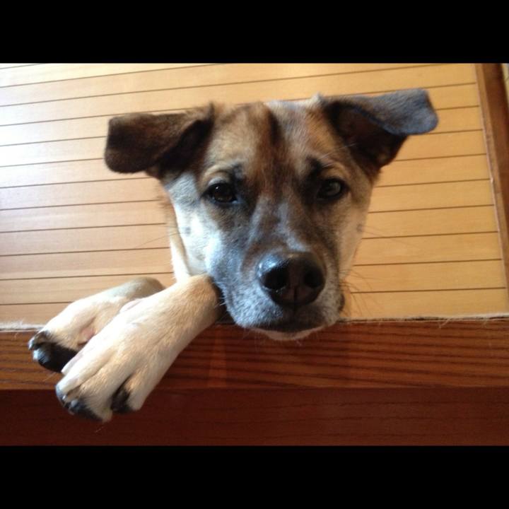 B3ac0655 5887 49f4 a696 8797b1686ecd 1541669576036